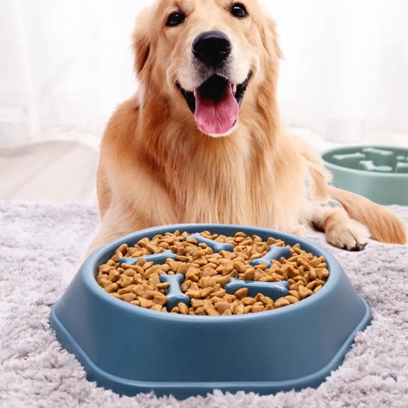 Slow Feeder Pet Bowl – Stop Bloating & Improve Digestion for Dogs & Cats
