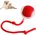 Smart Auto-Rolling Pet Ball – Interactive Self-Moving Toy for Cats & Dogs